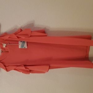 Umgee Pink Ruffled Sleeve Dress Size L